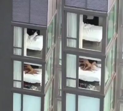 Pilló a la pareja practicando sexo duro en el balcón del hotel