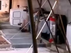 Una joven fue sorprendida dándole y chupándole la polla al chico tras el baile de la Gaiola y el vídeo fue compartido en Internet – aficionados