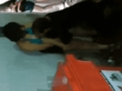 Filtran en WhatsApp un vídeo casero de una gorda loca dándosela de pervertida en una fiesta urbana