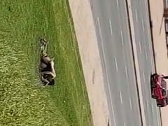 Pareja latina pillada follando en la hierba junto a la carretera sin preocuparse de los coches que pasaban – Aficionados
