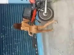 Cracuda se desnudó en las calles de Goiânia con fuego en el coño y Rascal la filmó – Amadora