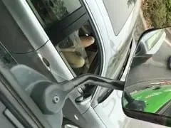 Para aliviar el estrés del tráfico Nymphet se masturba en el coche pero acaba siendo pillada por un camionero – Amadora